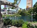 Wynn P1020639